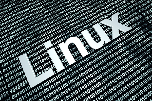 האקרים מצליחים להחדיר נוזקות לשרתי SSH של לינוקס