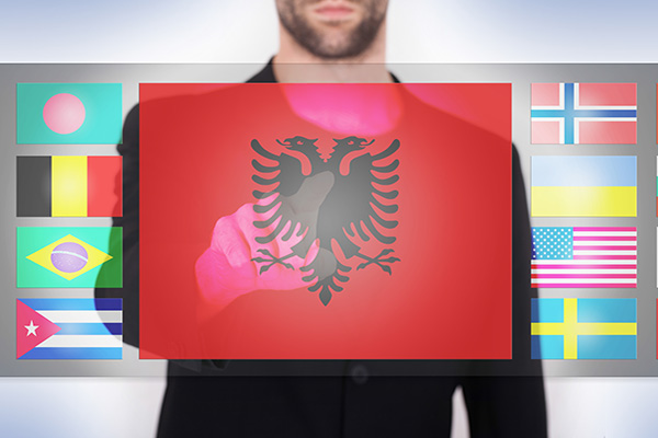 מתקפת סייבר מתואמת מכוונת לערוץ האזרחים המקוון של אלבניה